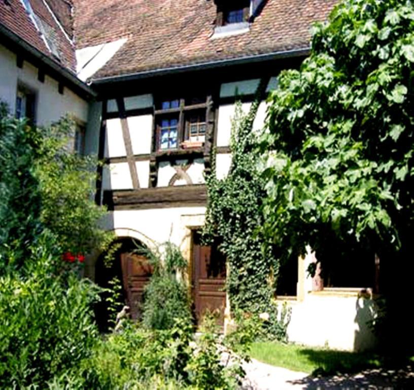 La Grenouille Apartment Turckheim Bagian luar foto